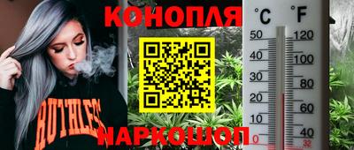 молекула духа Кулебаки
